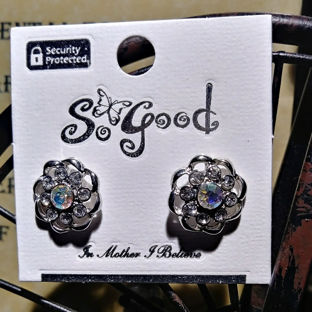 Aurora Borialias/Silver Pierced post earrings